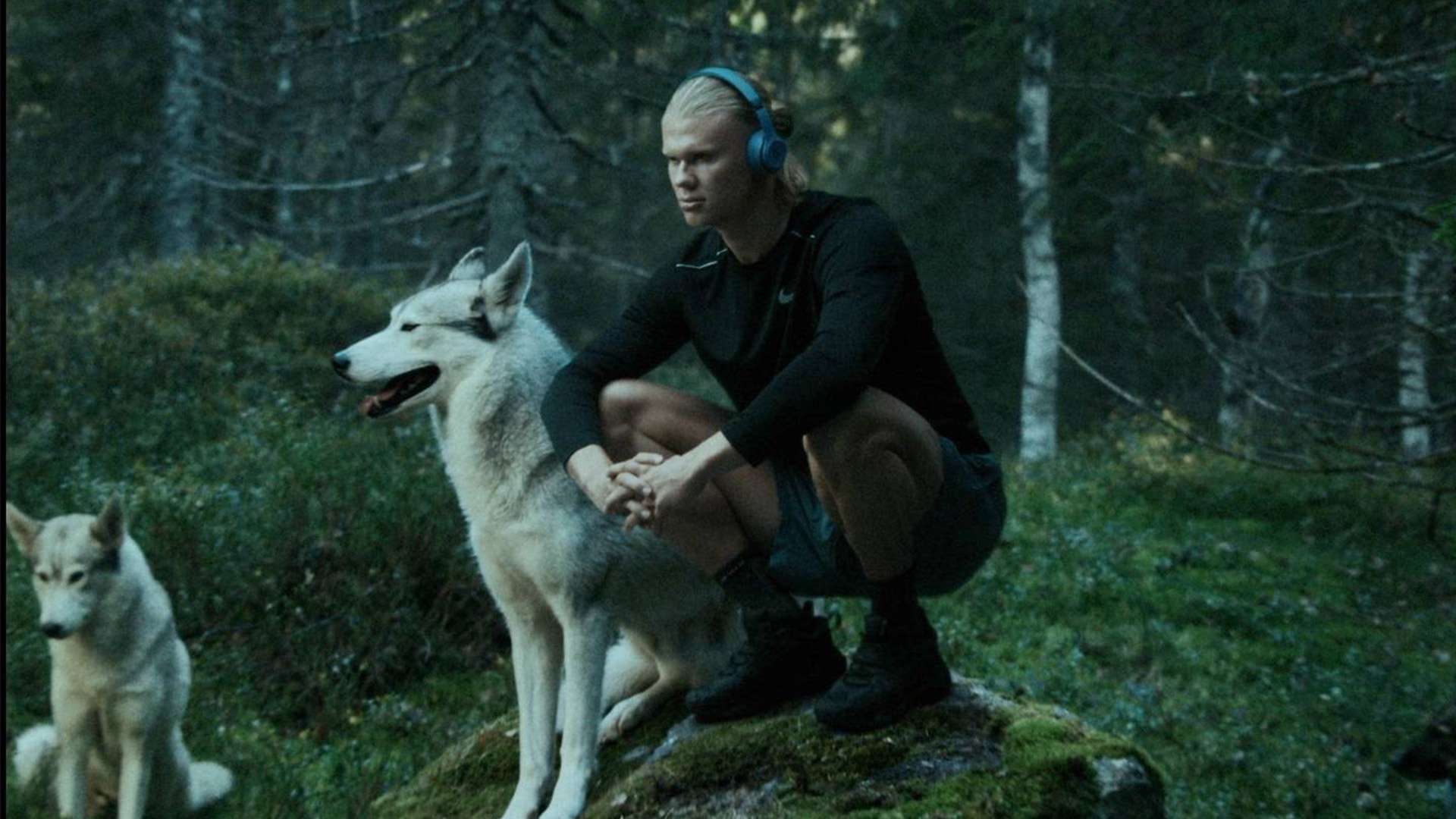 两位世界顶 两位世界顶